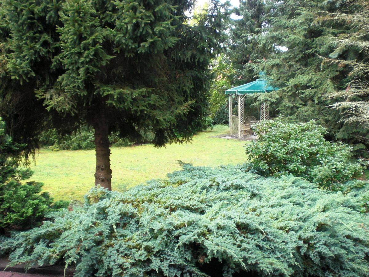 Hotel Garni Eichhornkobel Faßberg Esterno foto